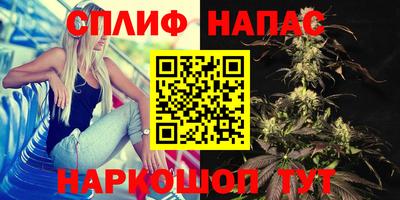 не бодяженный Нальчик