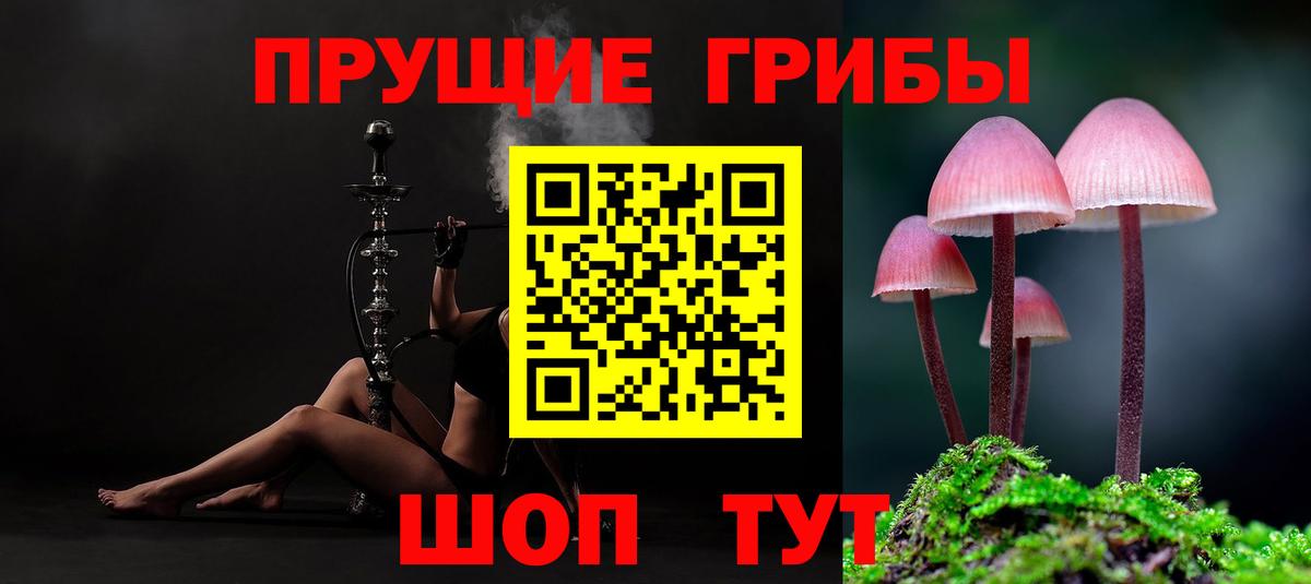 Галлюциногенные грибы GOLDEN TEACHER Соликамск